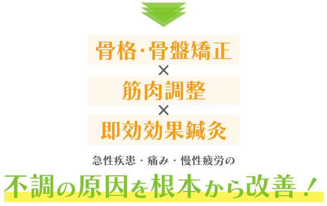 骨格・骨盤矯正と筋肉調整と鍼灸で、不調の原因を根本から改善！