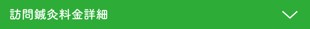 訪問鍼灸料金詳細