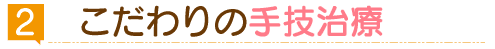 こだわりの手技治療